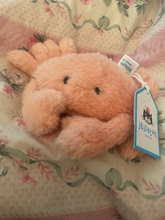 Jellycat Other - VERY RARE NOW Jellycat Fluffy Crab